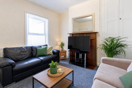 A furnished living room with sofas, a television, a fireplace, a mirror, a window and a potted plant.