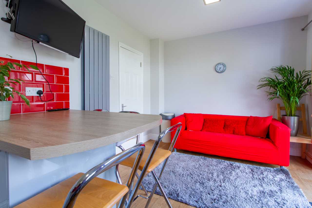 Bright shared living area with a red sofa, breakfast bar and stools, wall-mounted television, rug, plants and a clock.