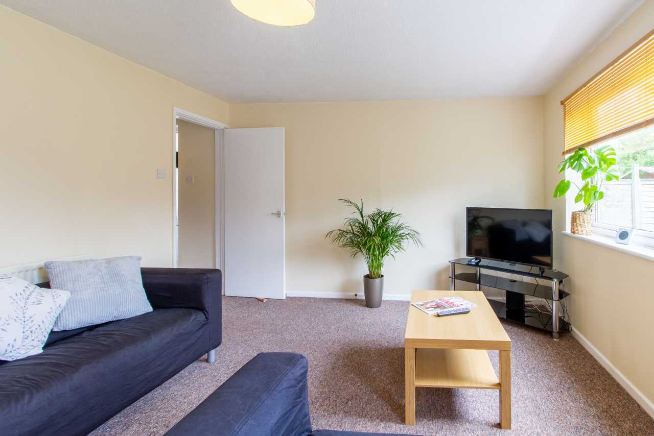 Living room with sofas, a coffee table, television, potted plant and window with blinds.