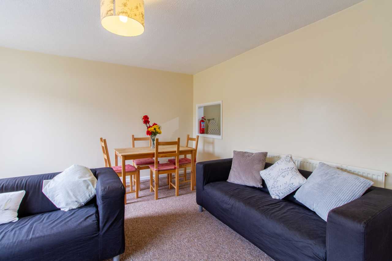 Living room with two sofas, a dining table and chairs, and a ceiling light.