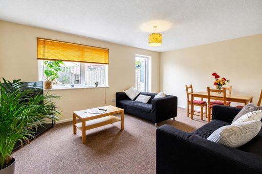Living room with sofas, a coffee table, dining table and chairs, windows, and indoor plants.