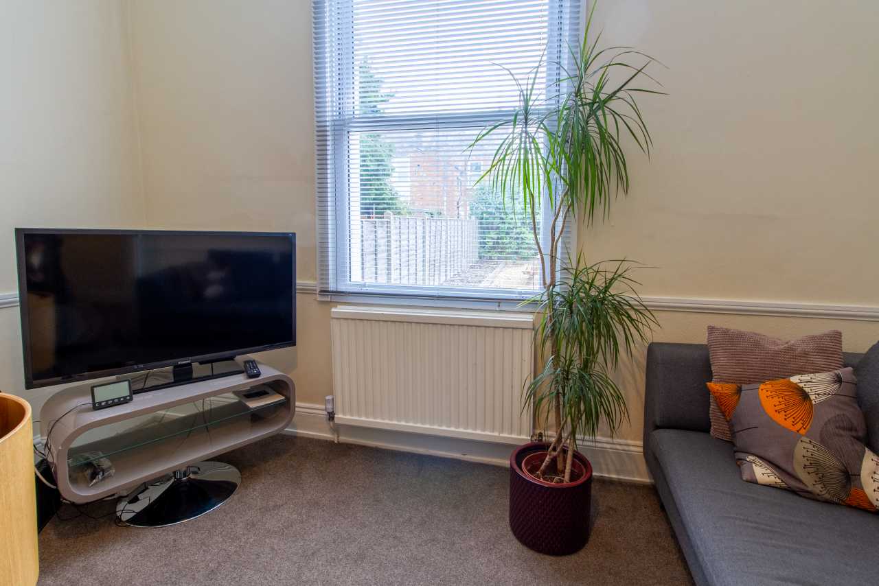 Living room with a television, sofa, window, radiator and potted plant.