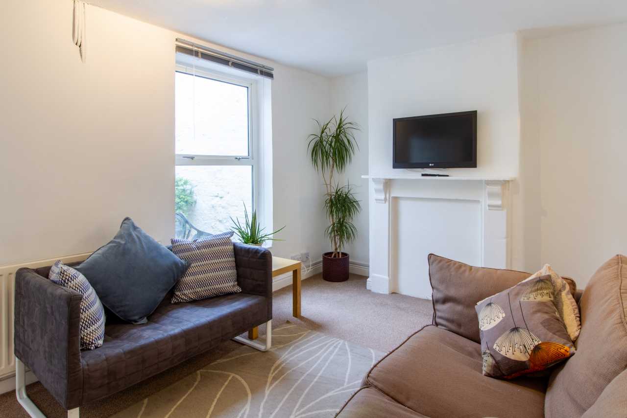 Living room with two sofas, a television above a fireplace, a window, a plant and a rug.