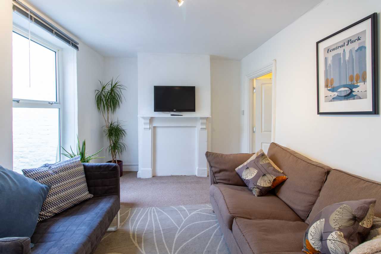 Bright living room with sofas, a television above a fireplace, a rug, plants and wall art.