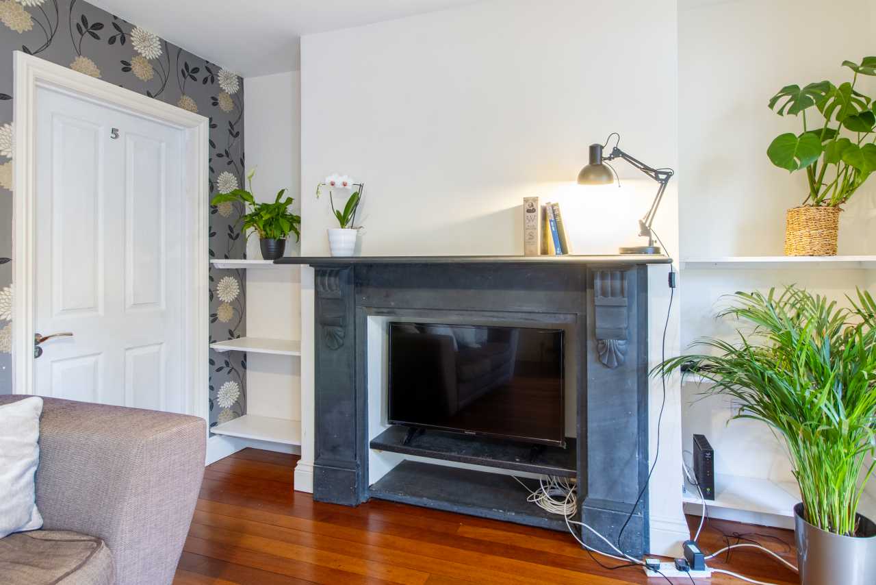 Living room with a fireplace, television, armchair, shelving, plants and wooden flooring.