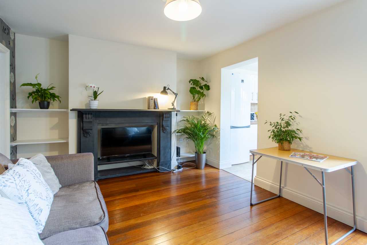 Bright shared living room with a sofa, fireplace, plants, wooden flooring and a small table.