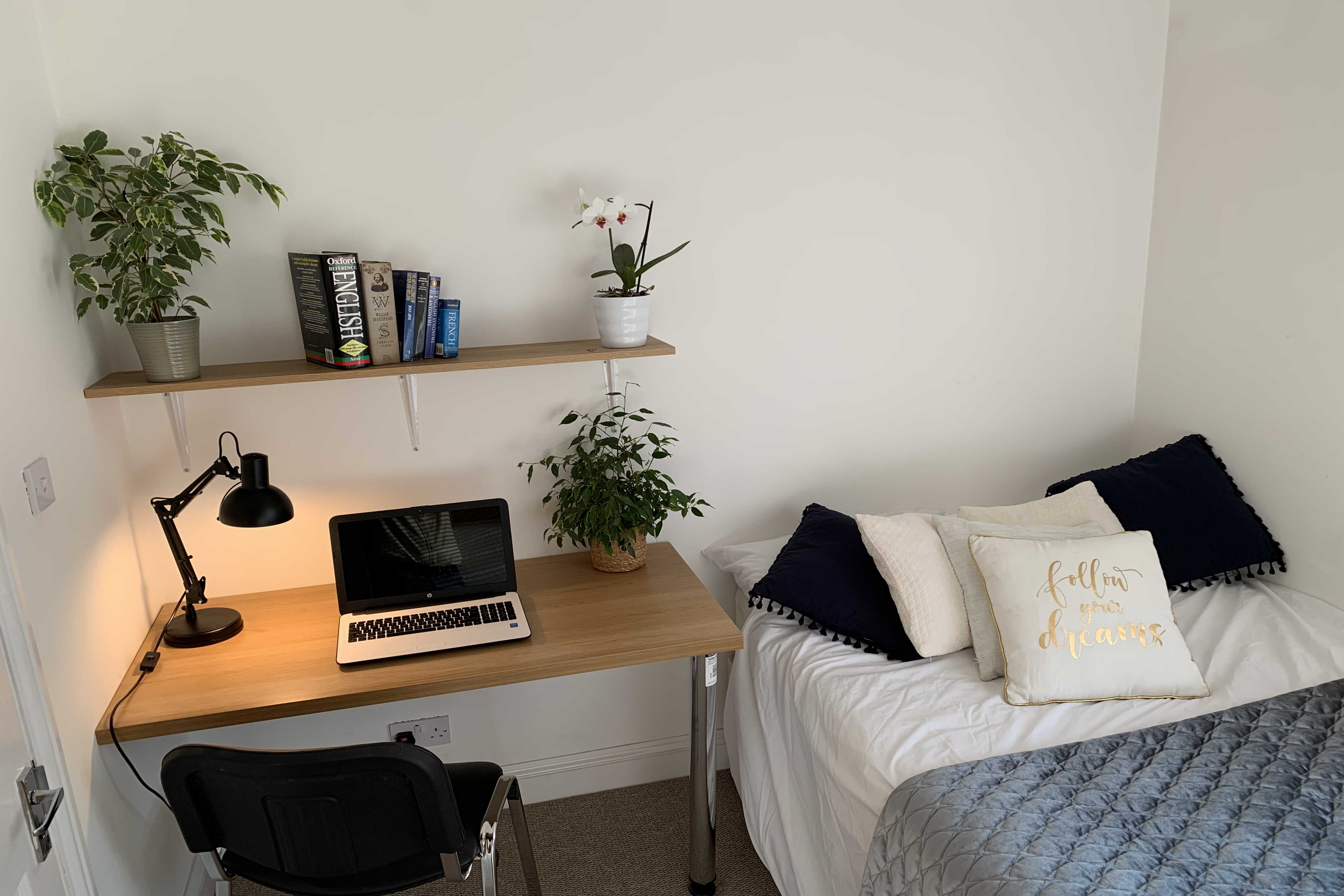 A bedroom with a single bed, desk, chair, laptop, lamp, shelving and potted plants.