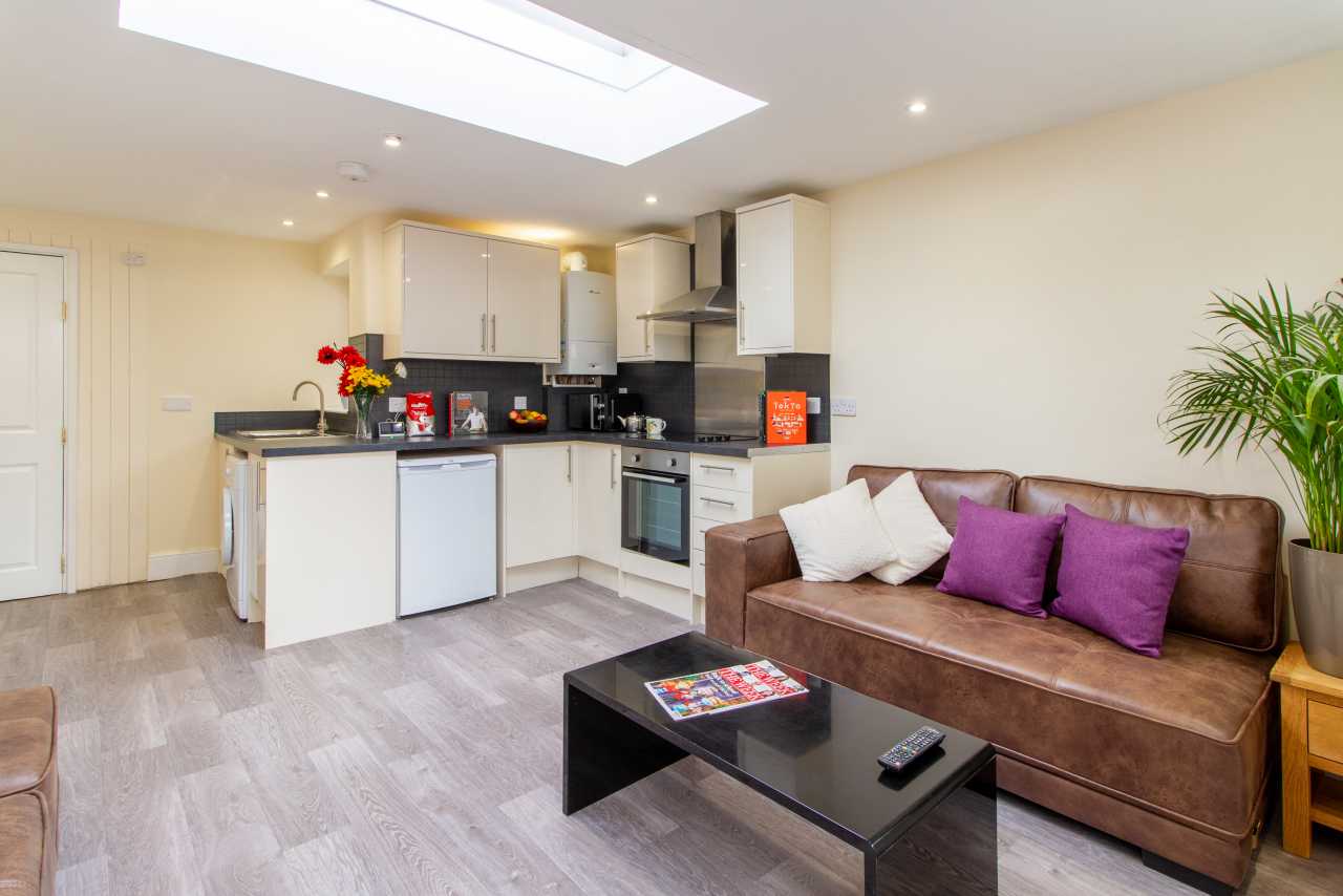 Open-plan living room and kitchen with a sofa, coffee table, cabinets, appliances and a skylight.