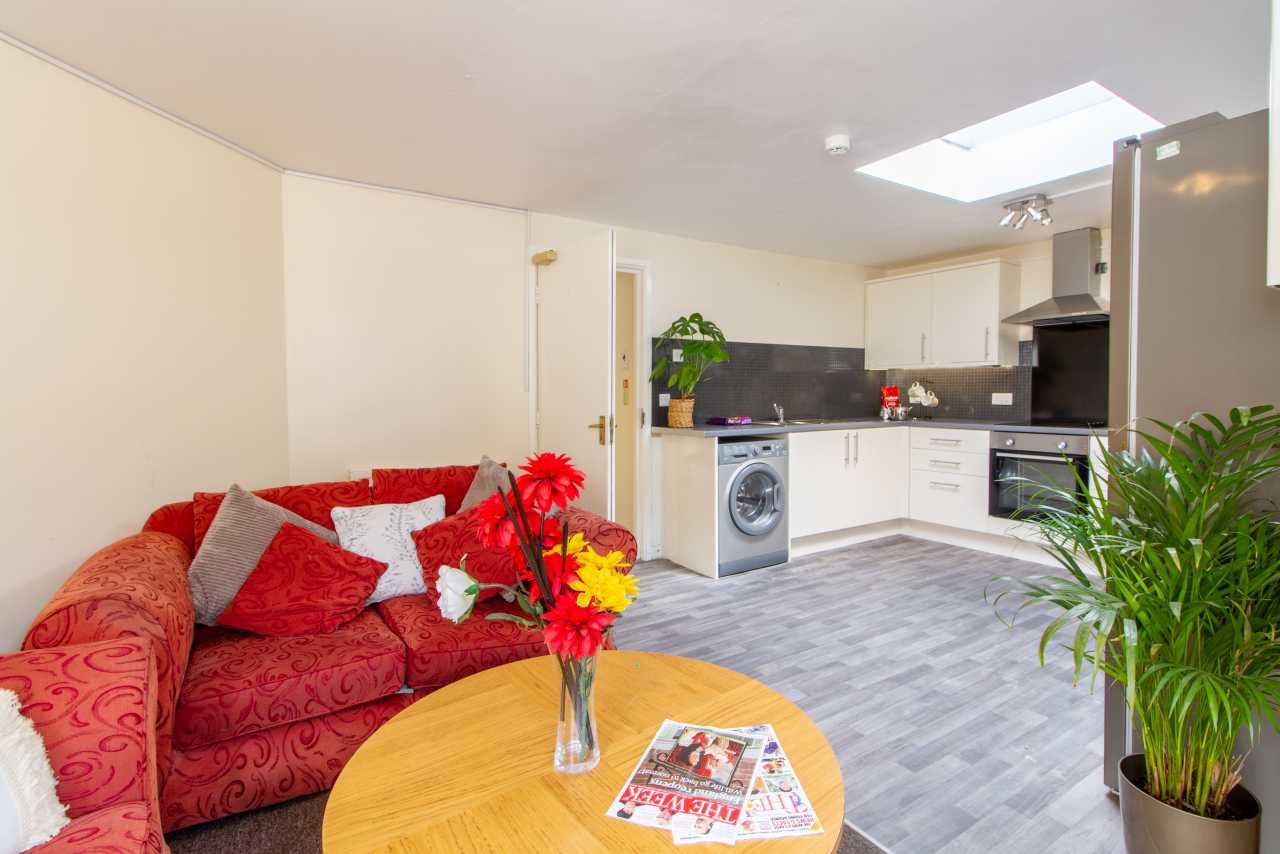 Open-plan living area with a red sofa, coffee table, fitted kitchen, skylight and potted plants.