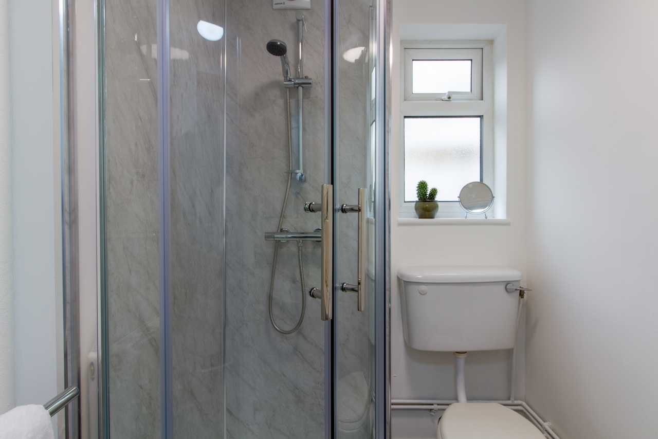 A modern bathroom with a glass-enclosed shower, toilet, frosted window and small potted plant.
