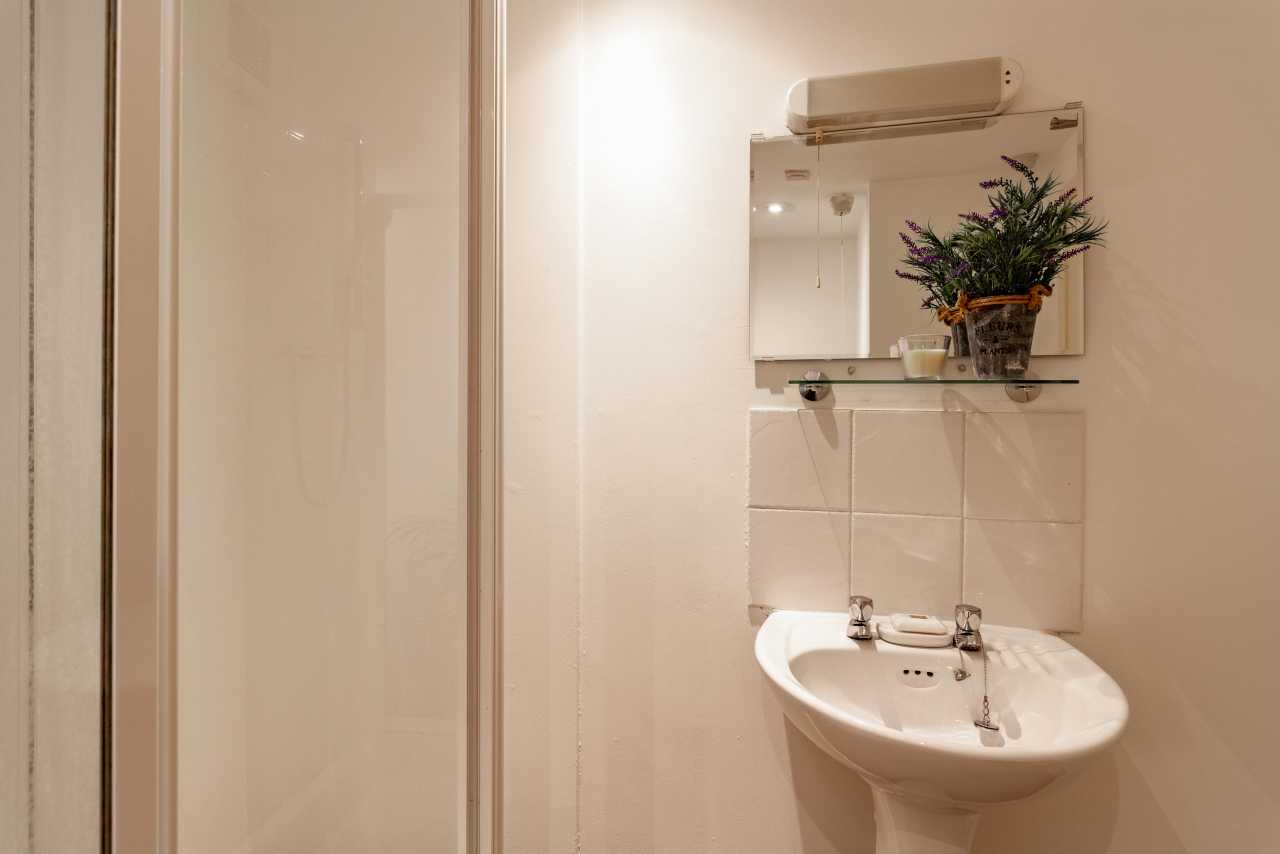 Compact bathroom with a shower enclosure, wall-mounted sink, tiled backsplash, mirror and potted plant.