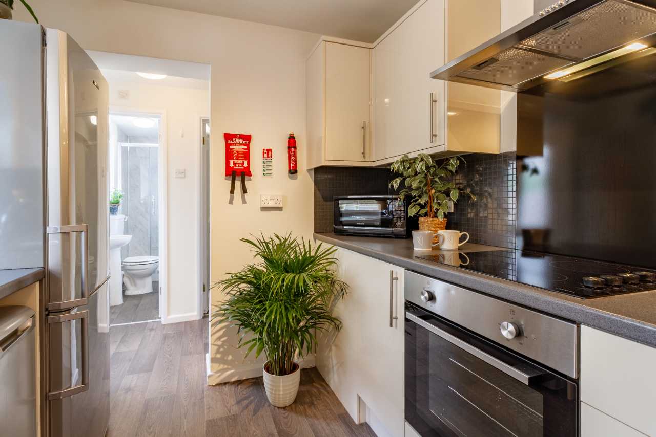 A modern kitchen with white cabinets, black tile backsplash, stainless steel appliances, a plant, and a hallway leading to a bathroom.