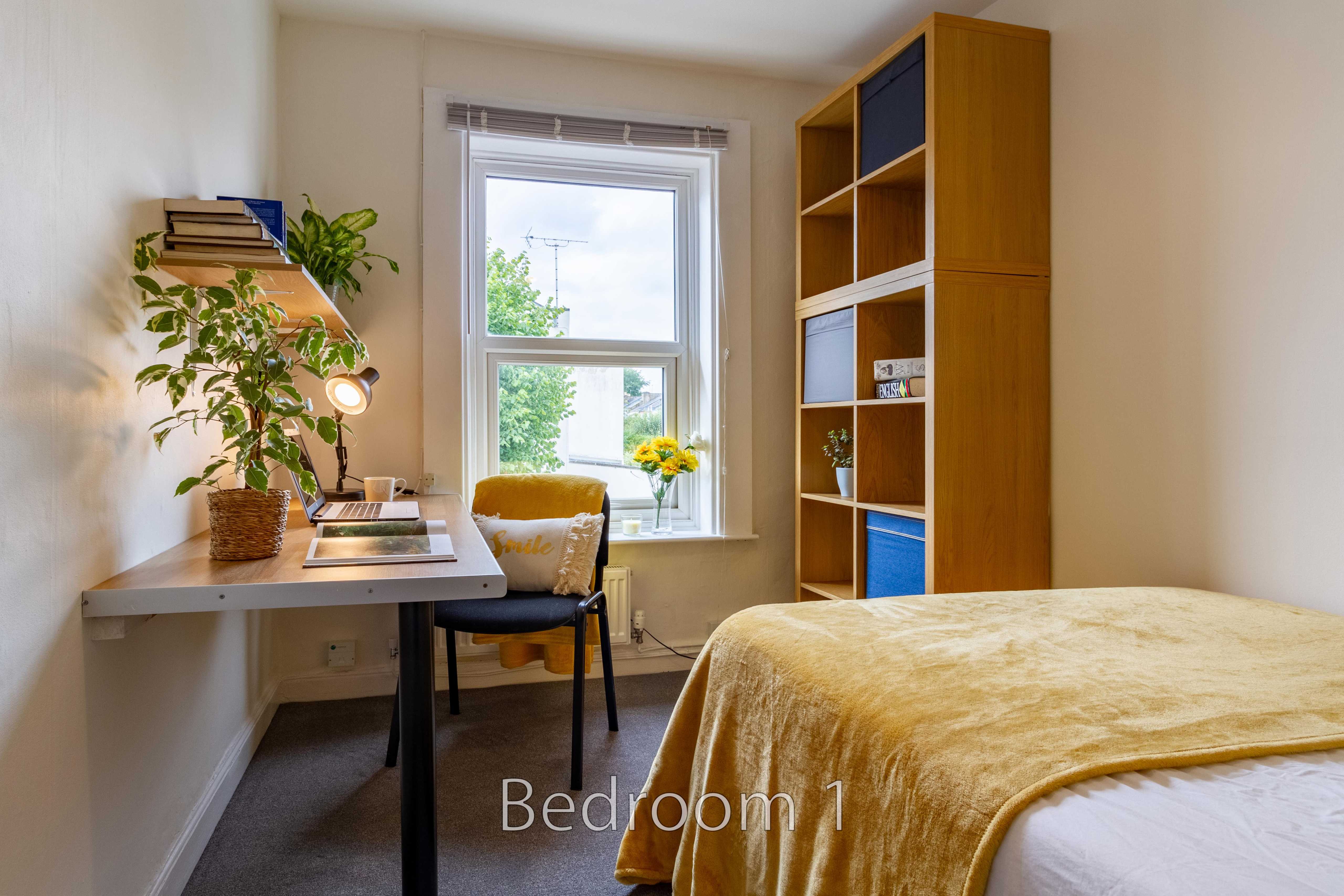 Bedroom with a single bed, desk, chair, window, shelving unit and potted plants.