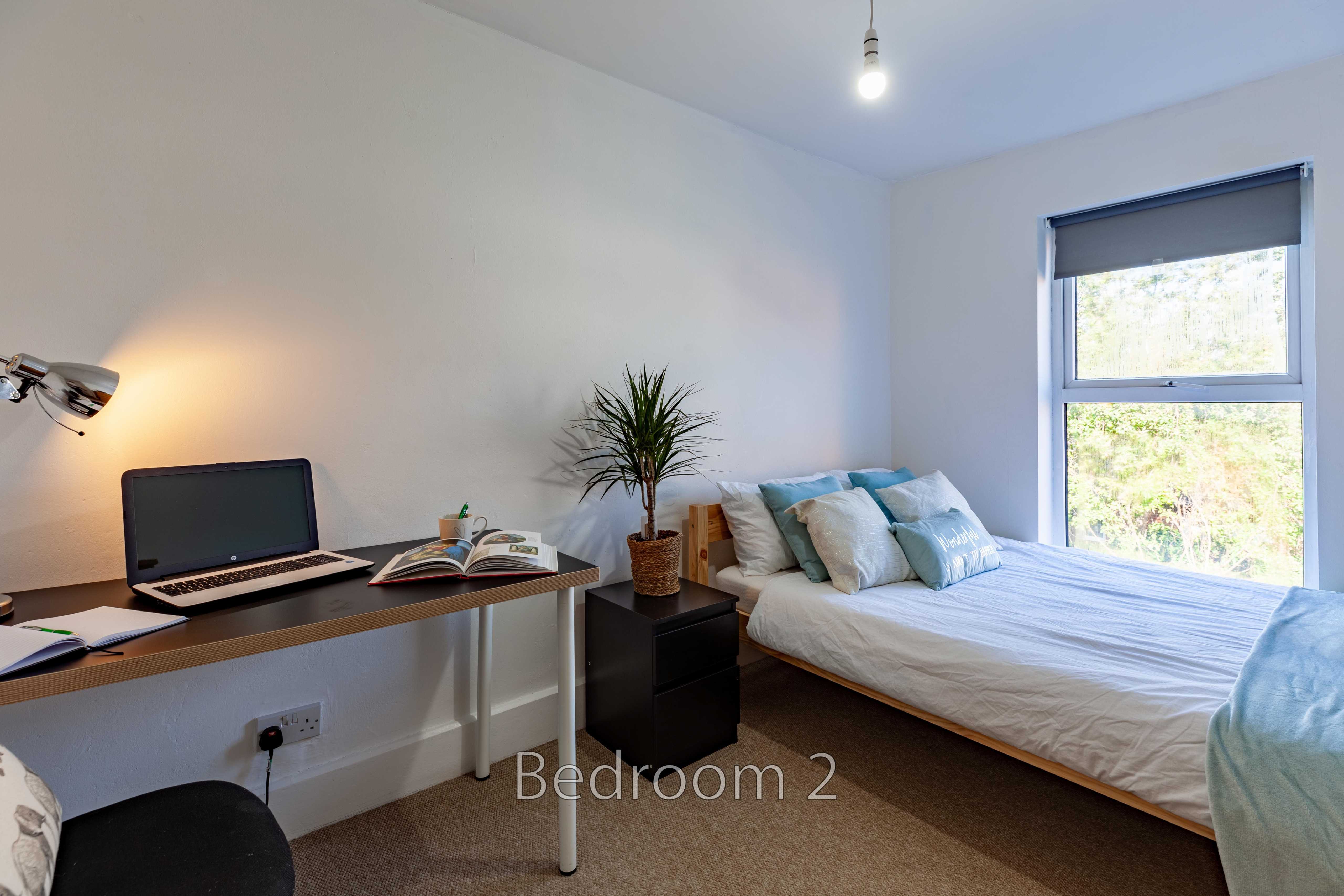 A furnished bedroom with a single bed, desk, computer, chest of drawers, window and plant.