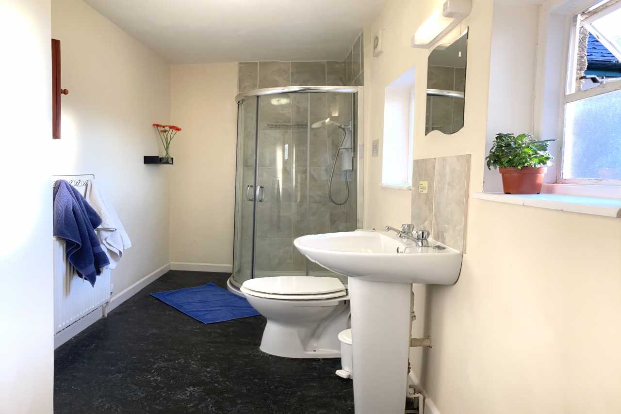 Bathroom with a shower enclosure, toilet, pedestal sink, radiator and window.