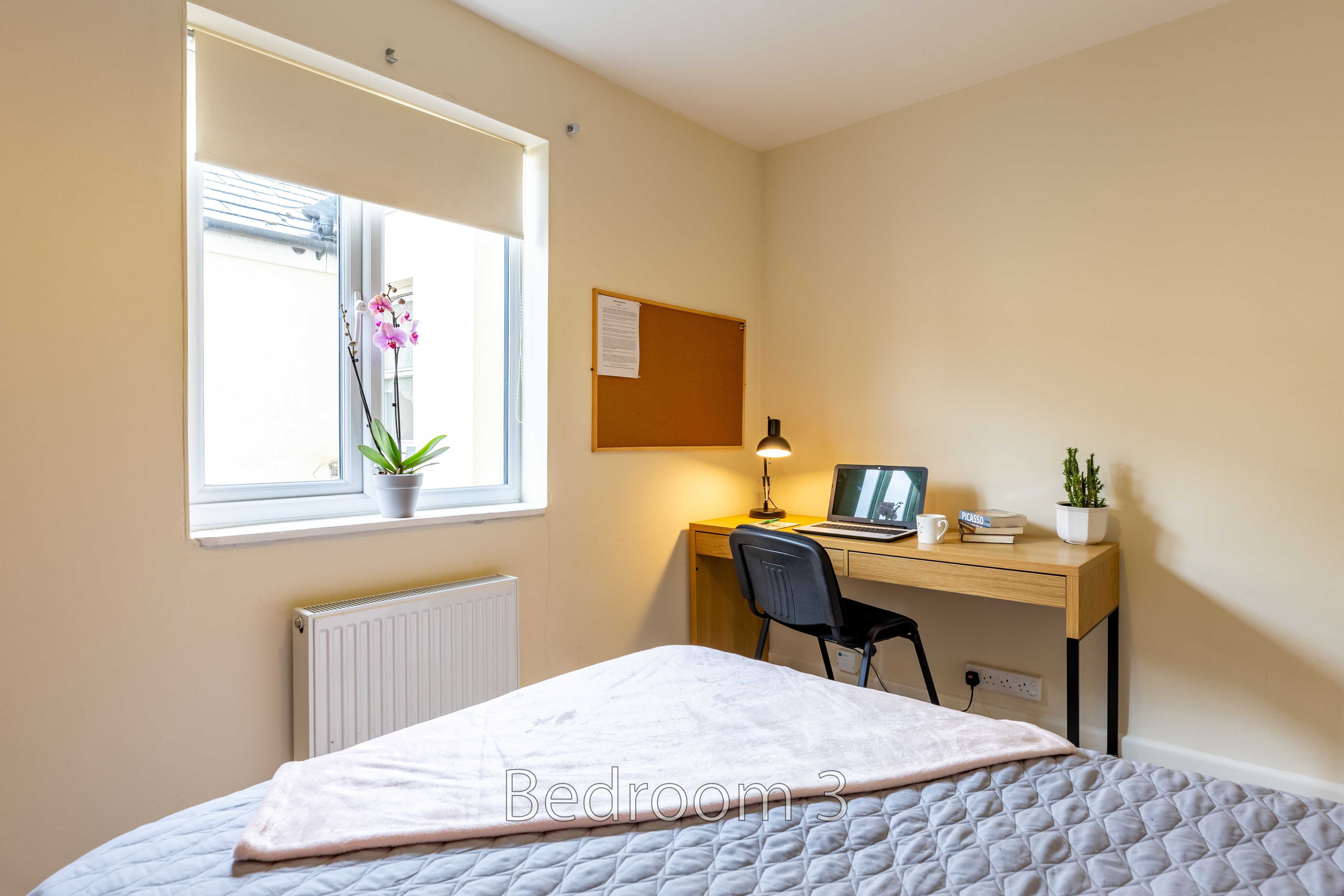 A bedroom with a bed, desk, chair, window, lamp and potted plants.