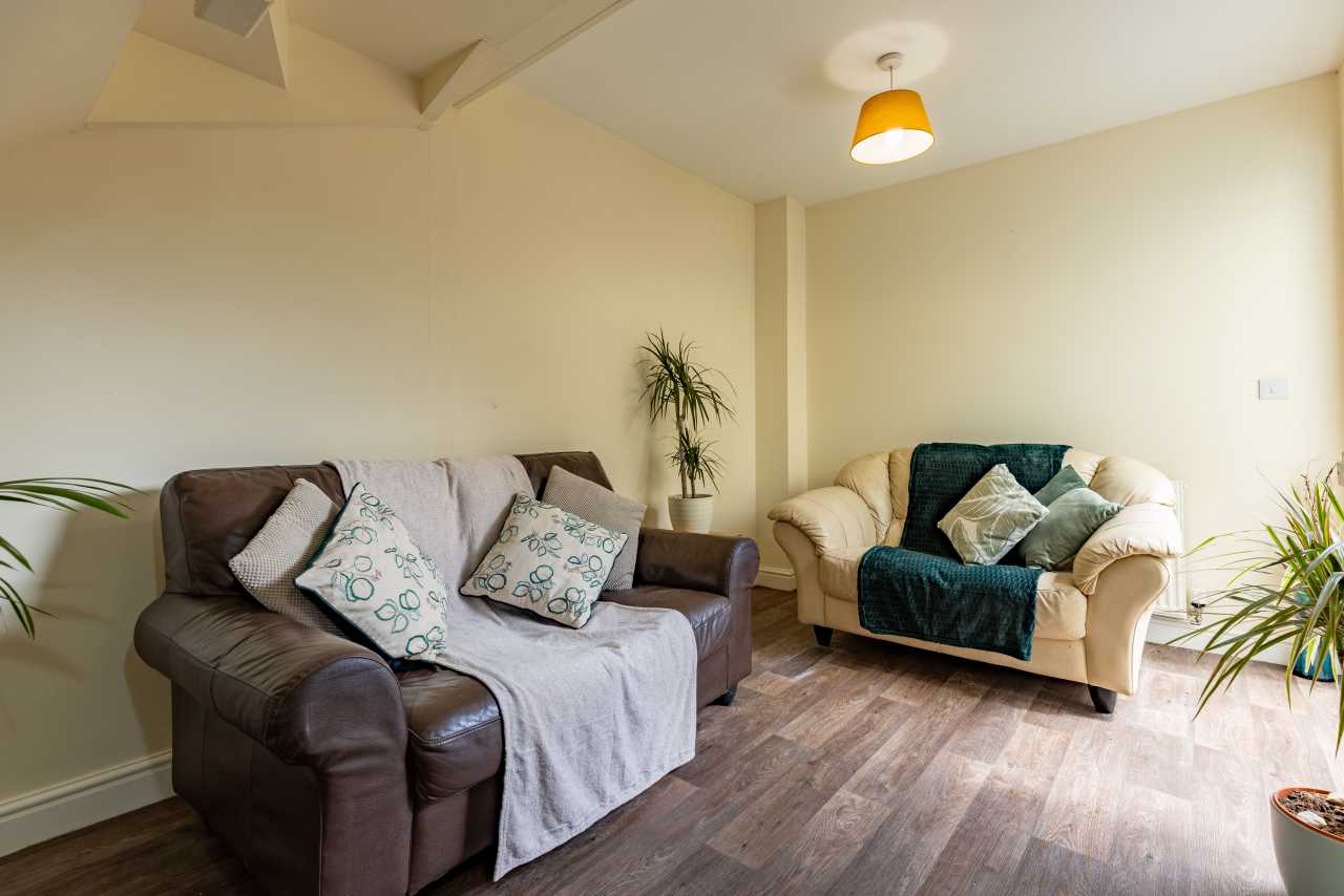 A furnished sitting room with two sofas, cushions, plants, and a ceiling light.