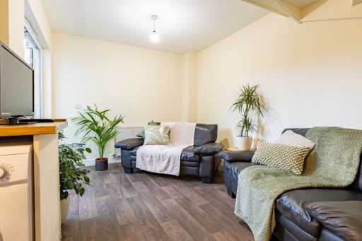 Bright living room with sofas, armchairs, houseplants, carpeted floor and a television.