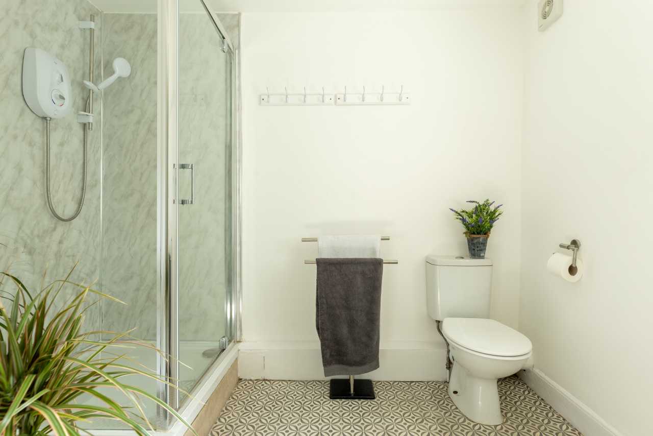 A bright bathroom with a glass shower enclosure, toilet, towel rail, patterned flooring and a potted plant.
