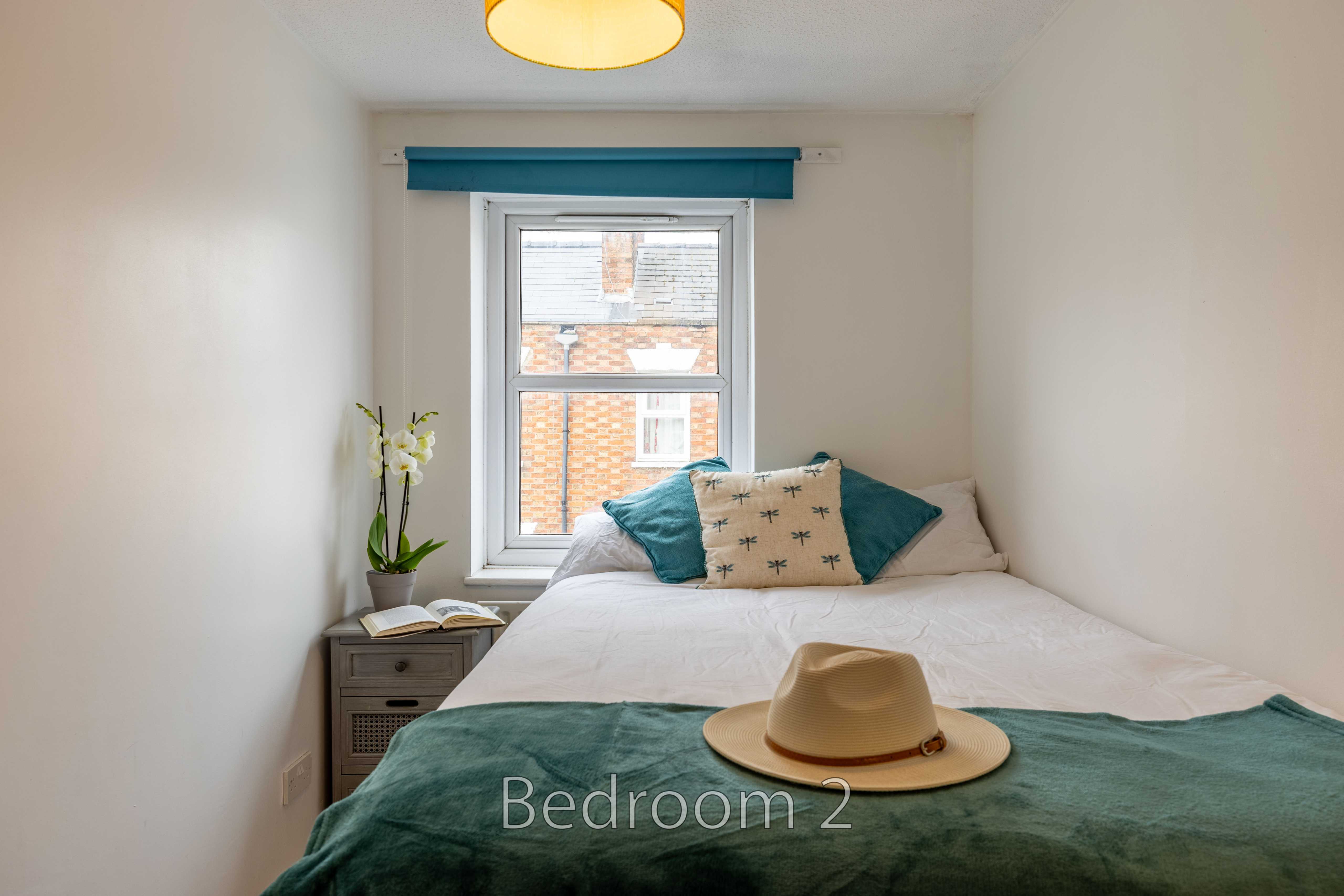 A bedroom with a double bed, teal blanket and cushions, bedside table, plant, and window.
