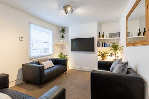 Furnished living room with sofas, a wall-mounted television, shelving, plants and a window.