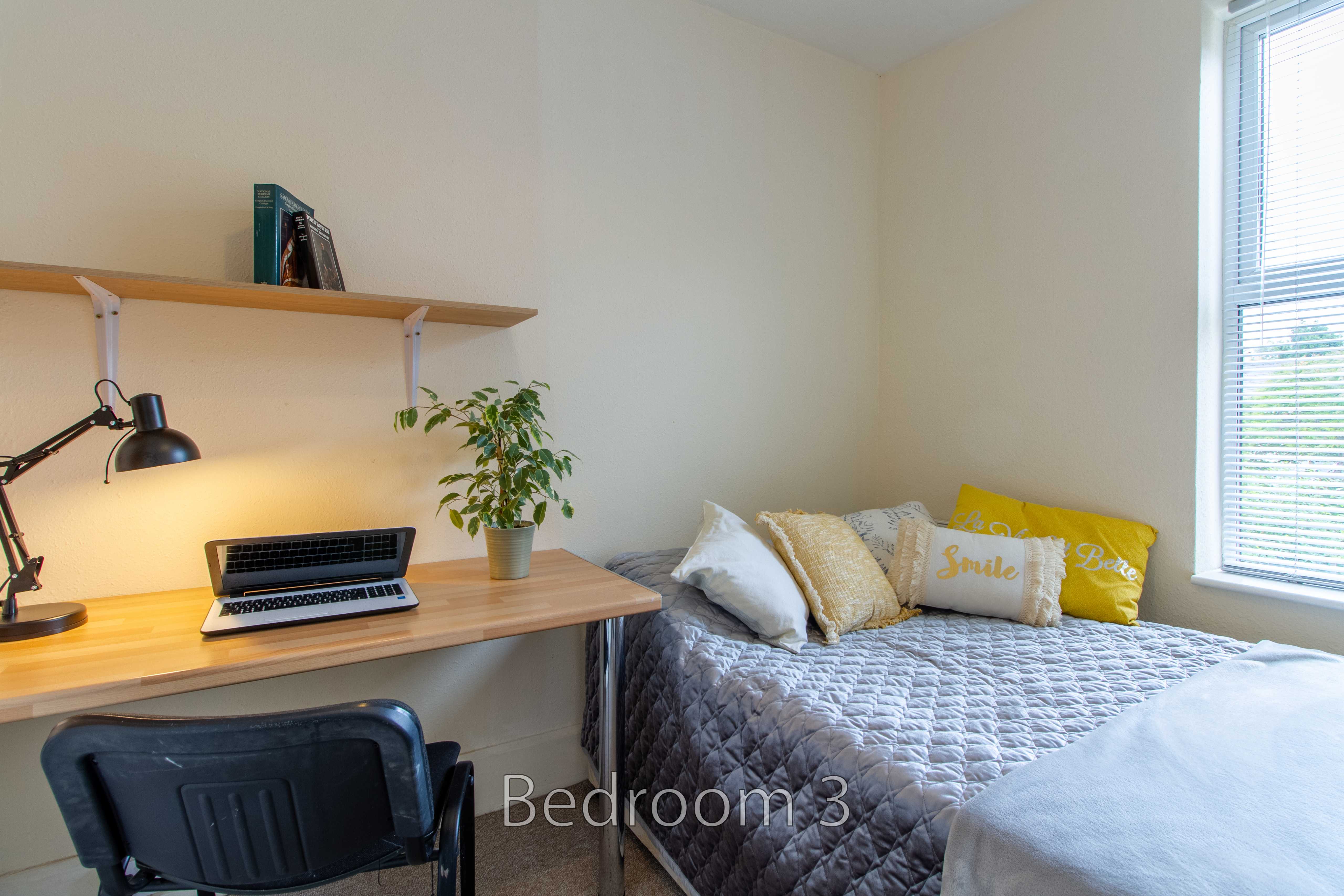 A bedroom with a single bed, desk, laptop, chair, shelves, plant and window.
