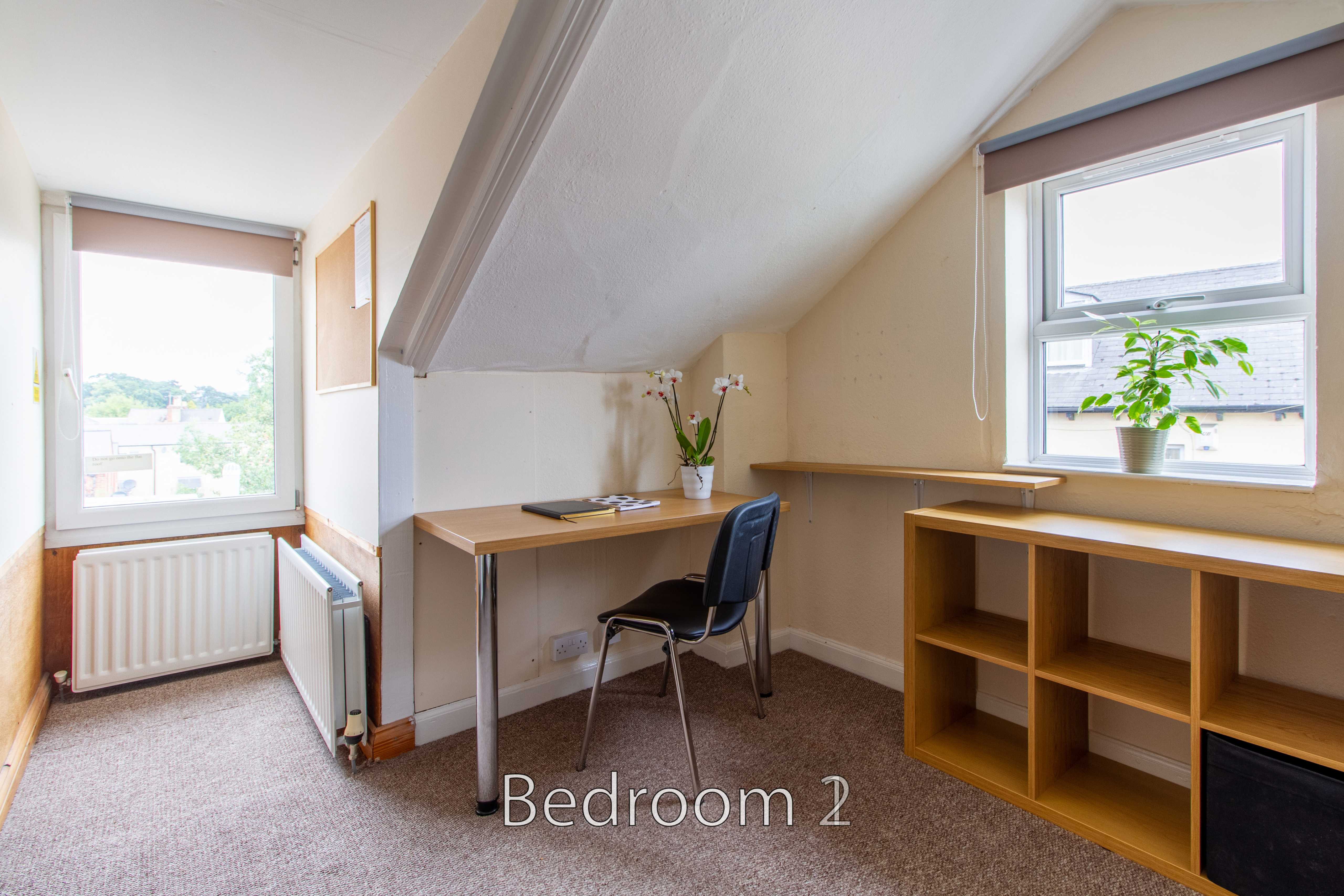 A bedroom with a desk and chair, shelving, two windows, and a radiator.