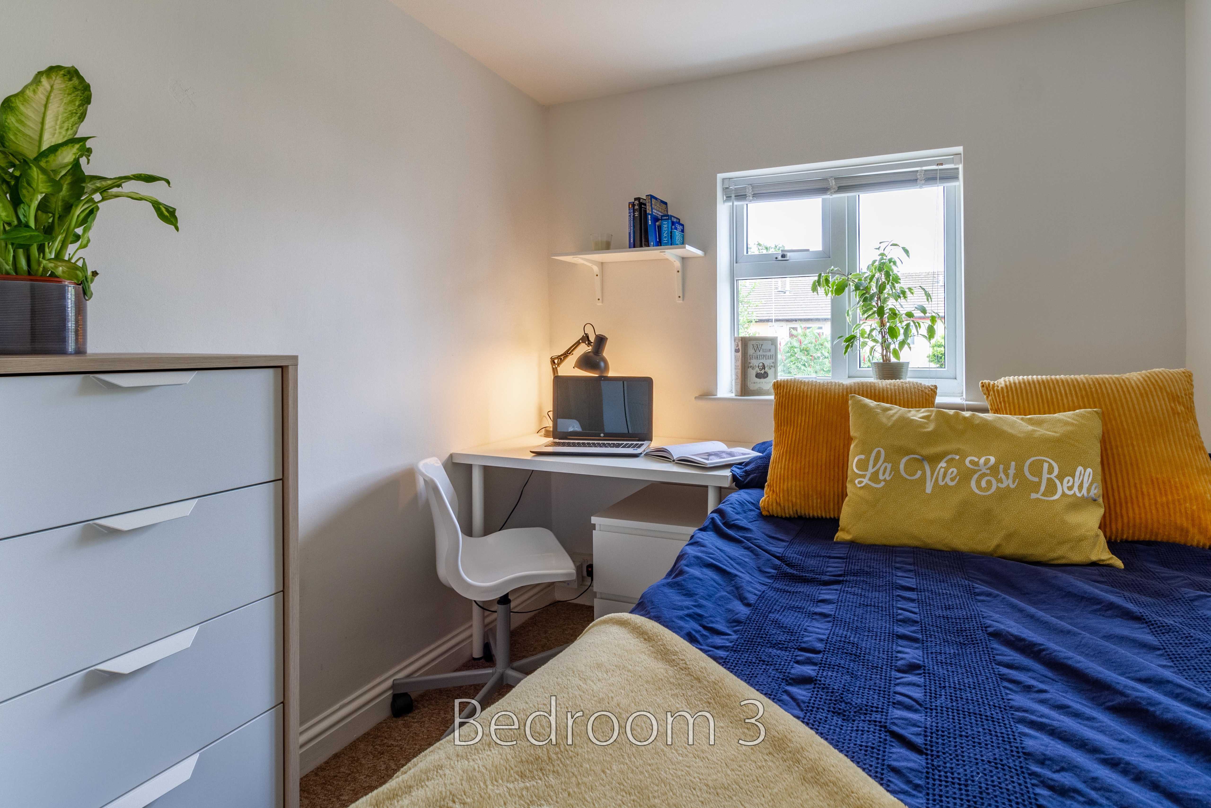 A bedroom with a blue bed, desk, chair, chest of drawers, window and plants.