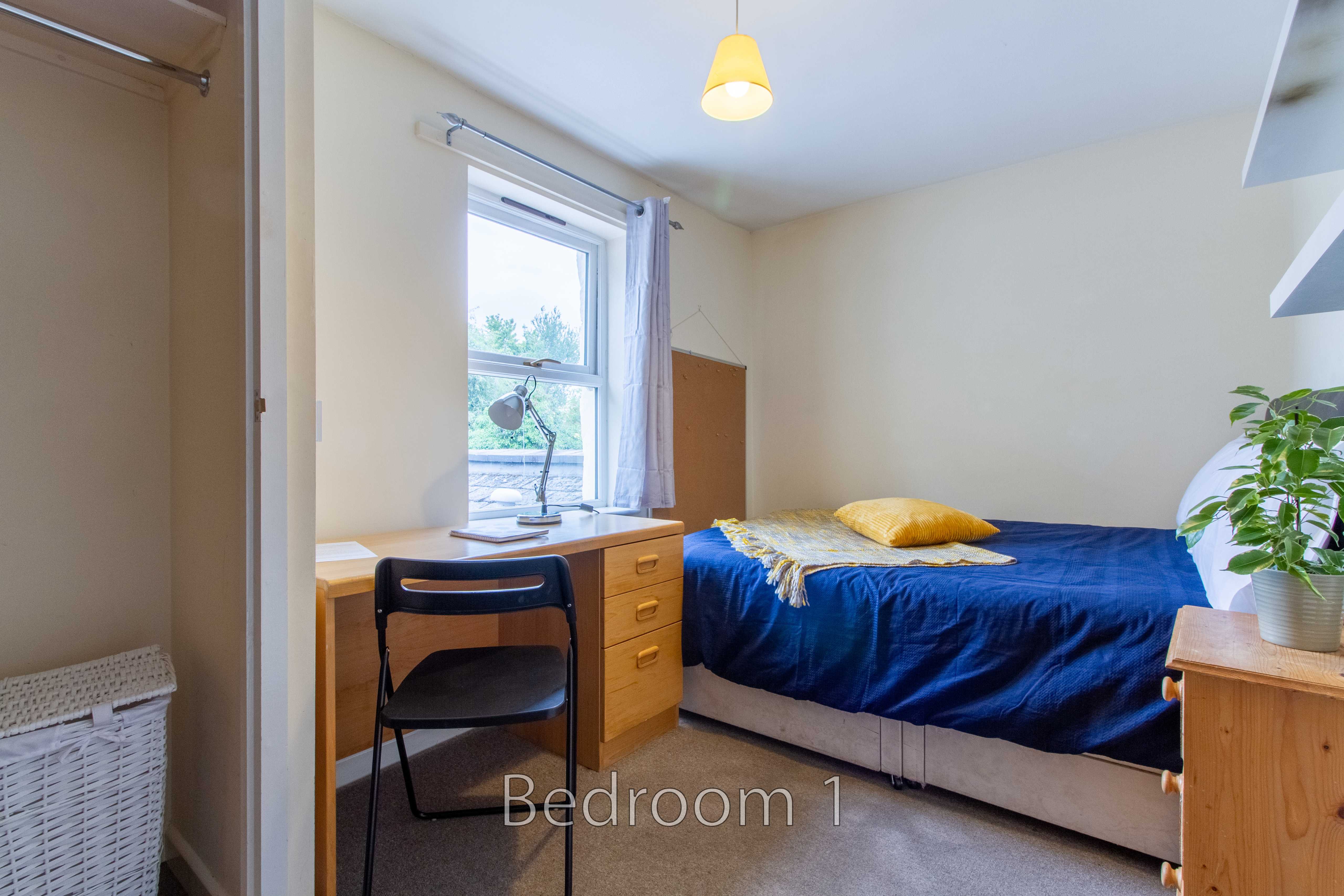 A bedroom with a single bed, desk, chair, chest of drawers, window and potted plant.