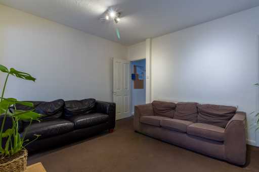 Living room with two sofas, a potted plant, carpeted floor and a door.