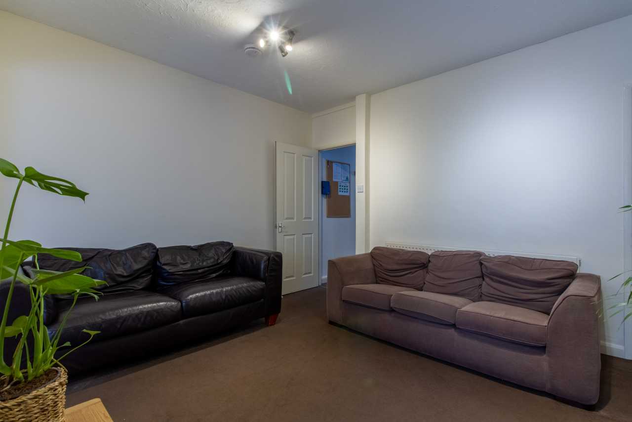 Living room with two sofas, a potted plant, carpeted floor and a door.