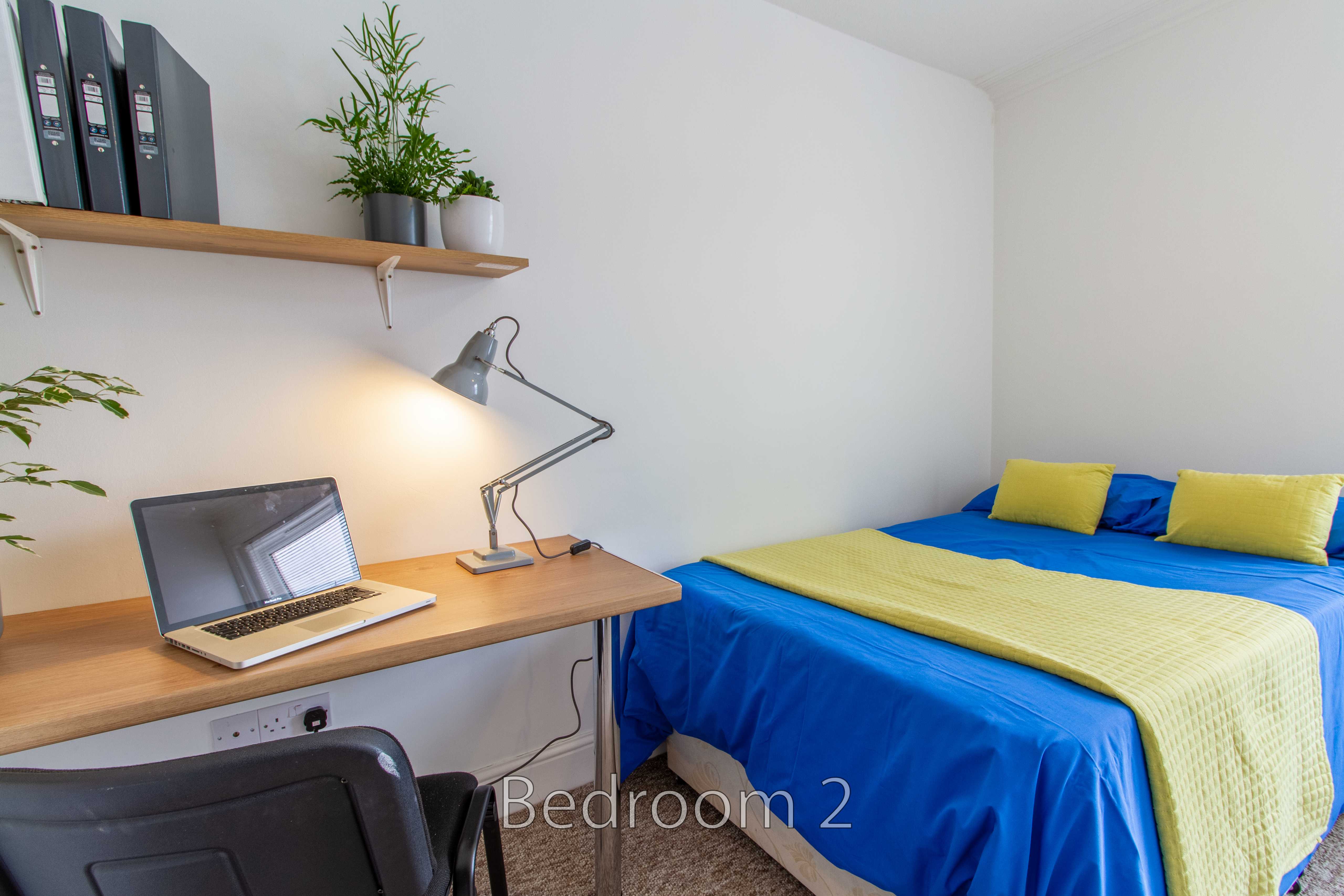 A bedroom with a bed, desk, laptop, desk lamp, wall shelf and potted plant.