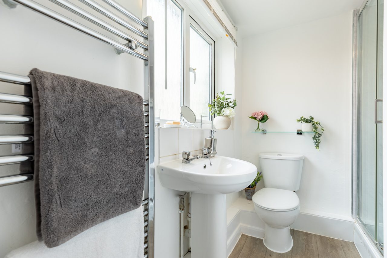 Bright bathroom with a pedestal sink, toilet, heated towel rail, shower enclosure and potted plants.