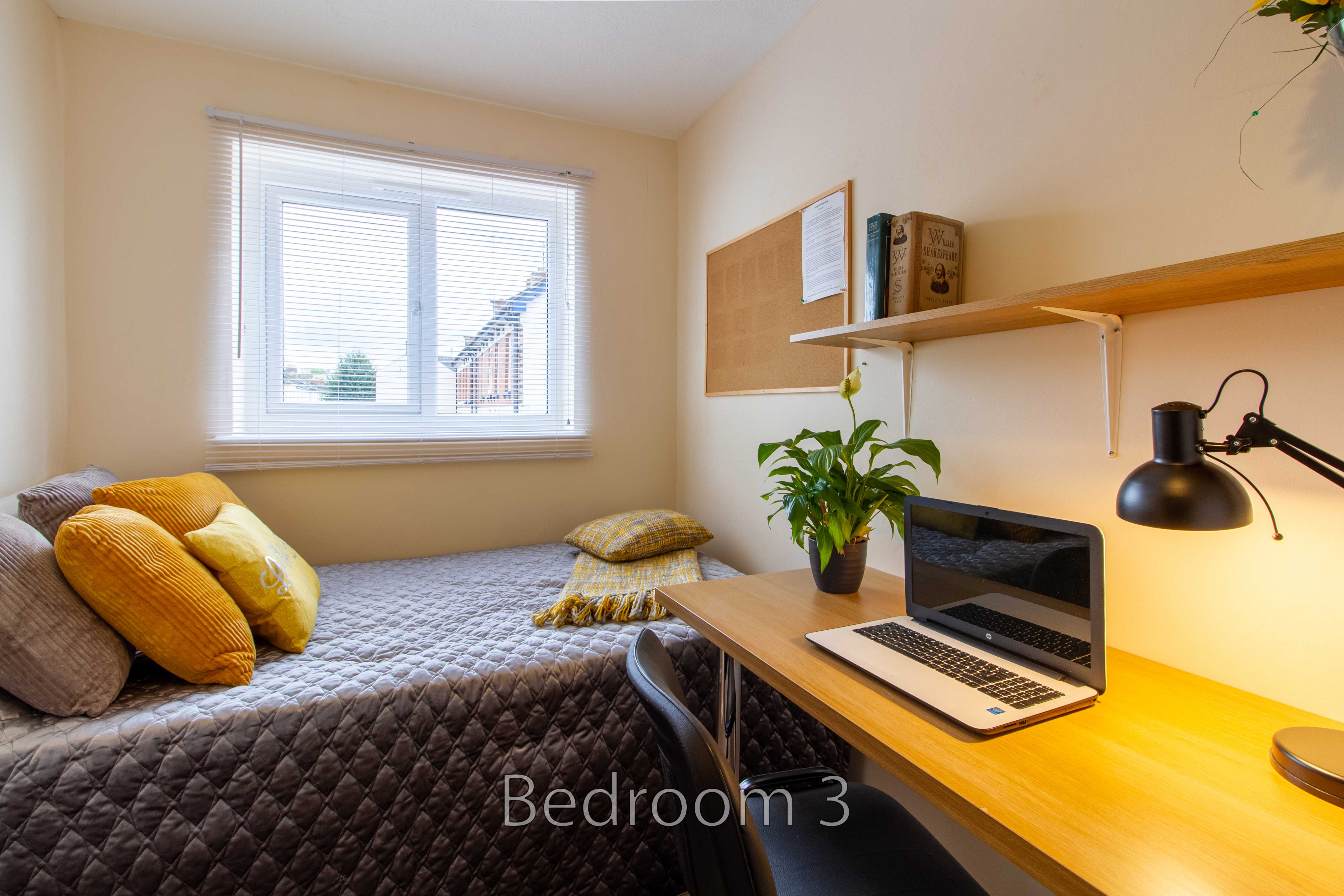 A bedroom with a bed, desk, laptop, chair, shelves, plant and window.