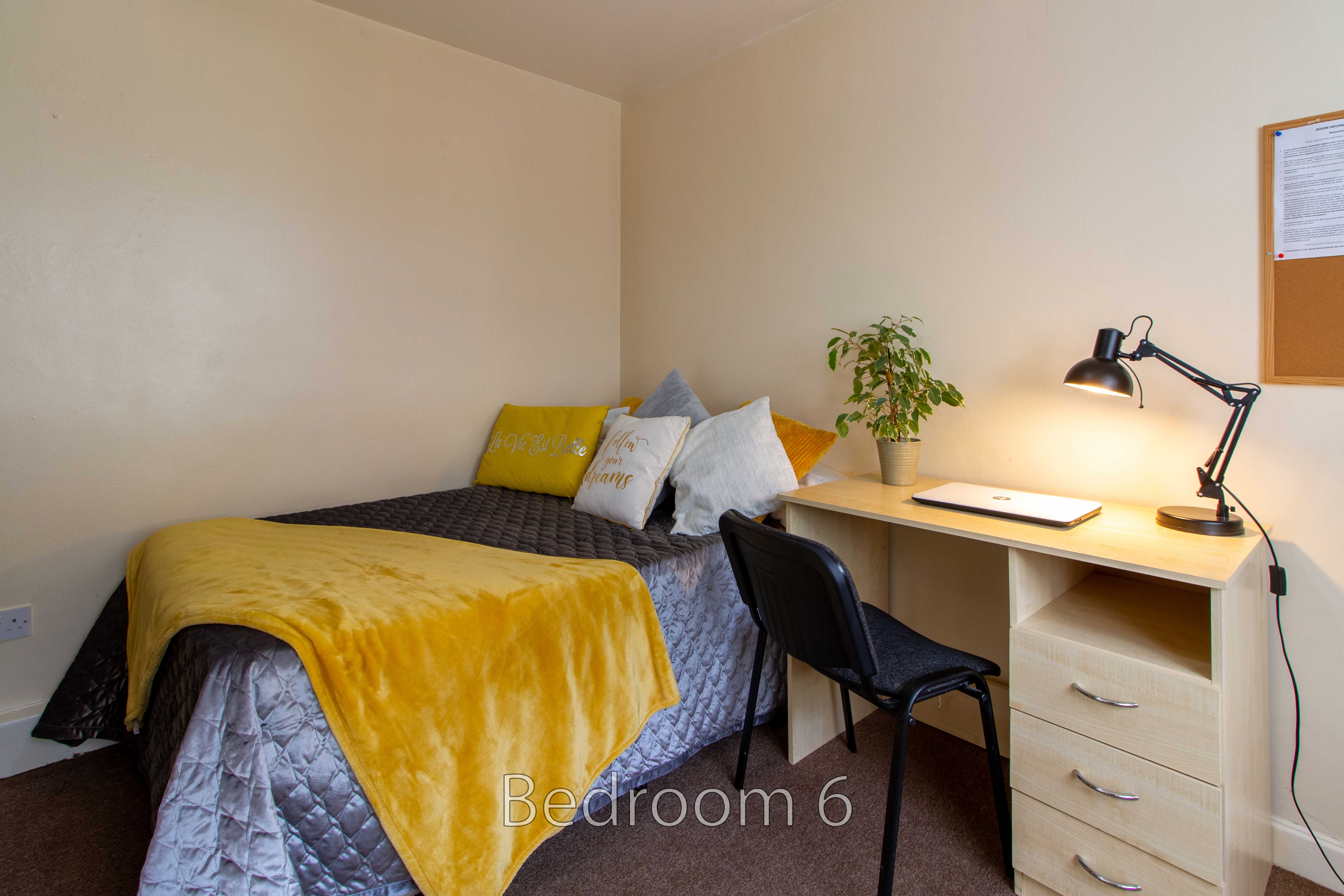 A furnished bedroom with a single bed, desk, chair, desk lamp, plant and noticeboard.