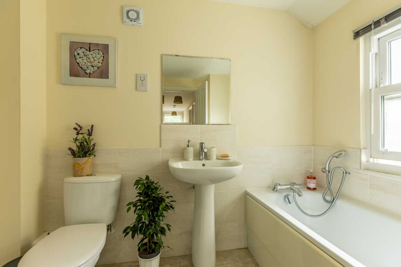 A bright bathroom with a toilet, pedestal sink, bathtub, mirror, plants, and a window.