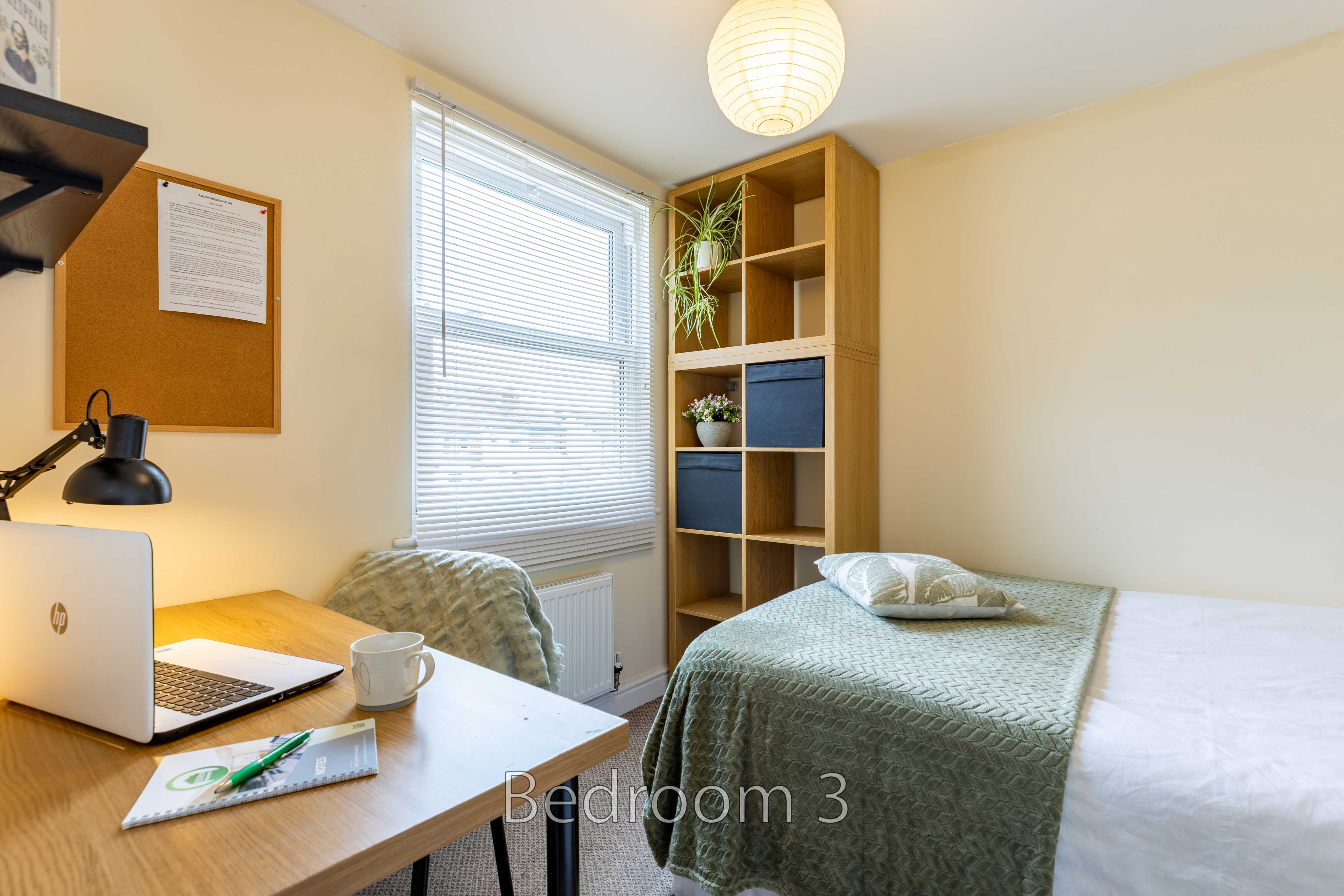Bedroom with a single bed, desk with laptop, shelving unit, window and radiator.