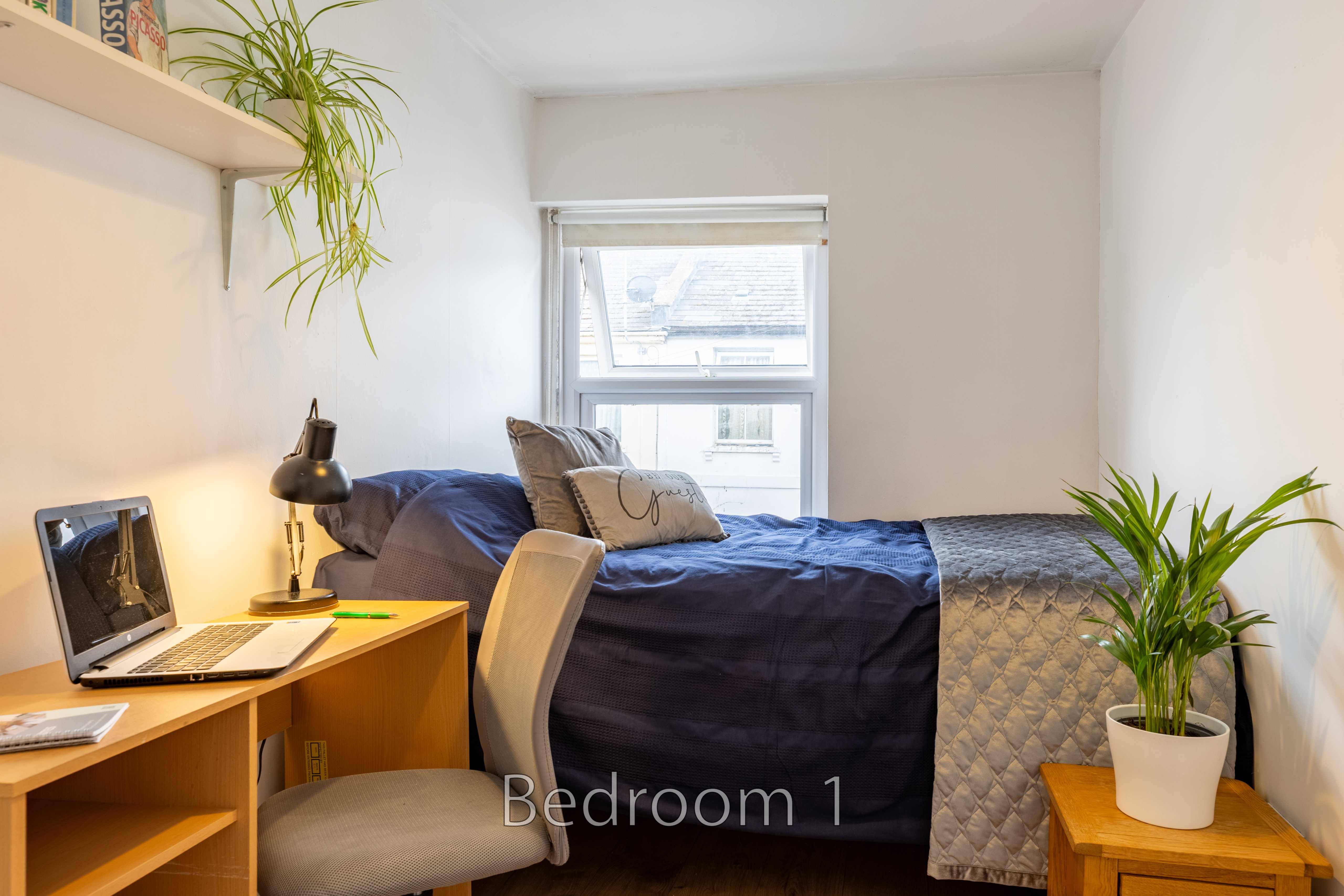 A furnished bedroom with a single bed, desk, chair, window and potted plants.