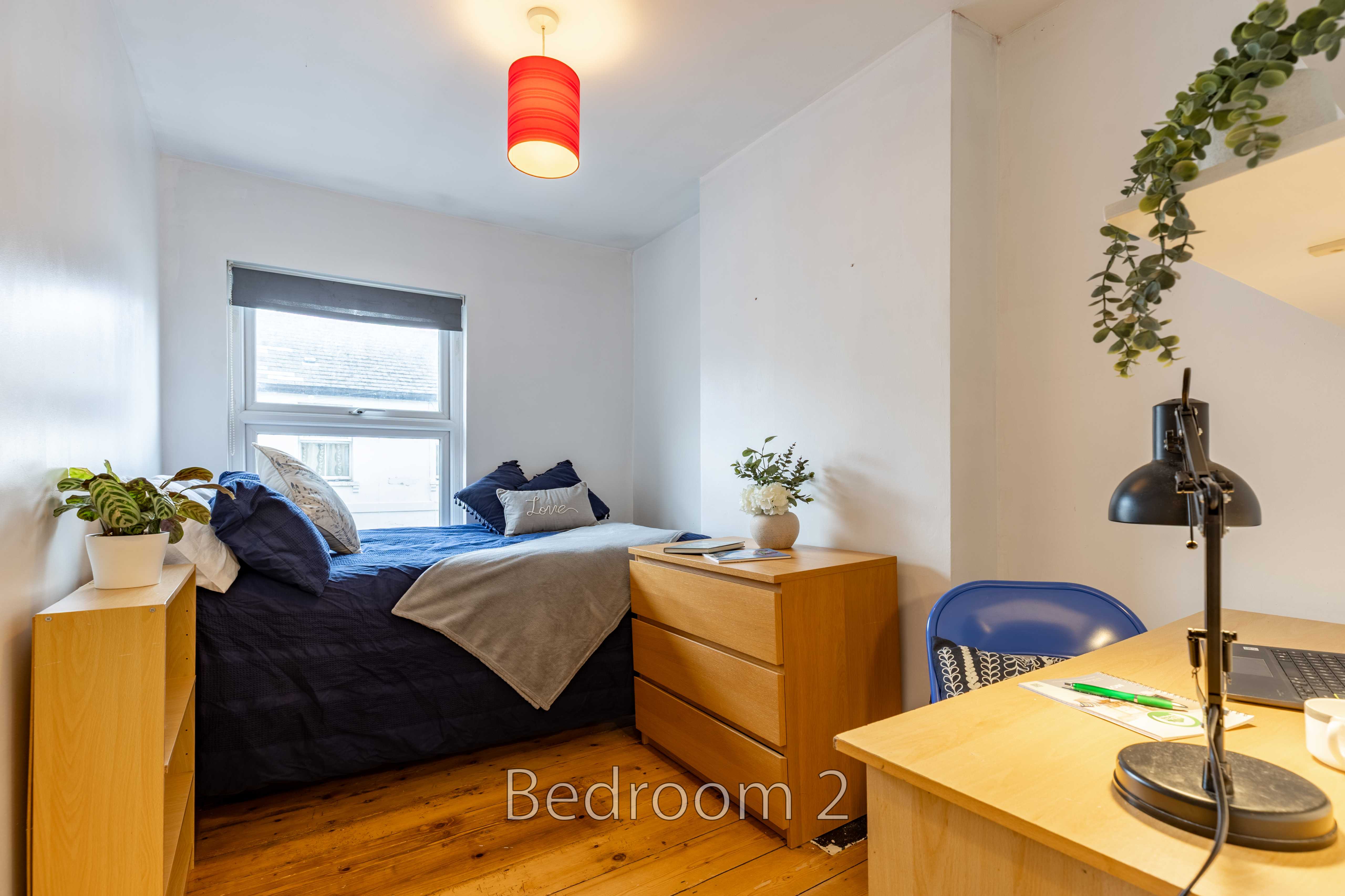 Furnished bedroom with a bed, dresser, desk, chair, plants and window.