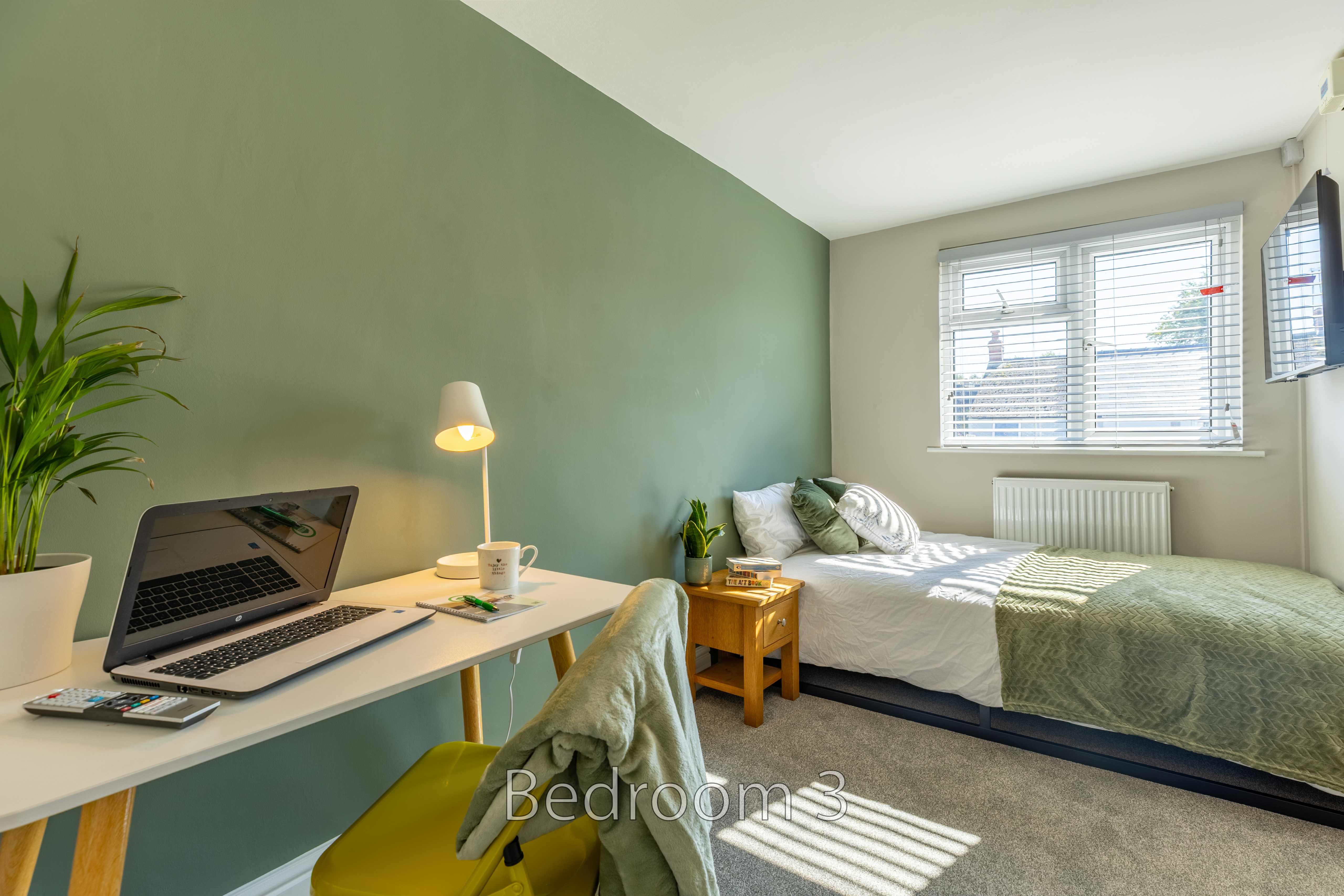 Bedroom with a single bed, desk and laptop, chair, bedside table, lamp, and window.