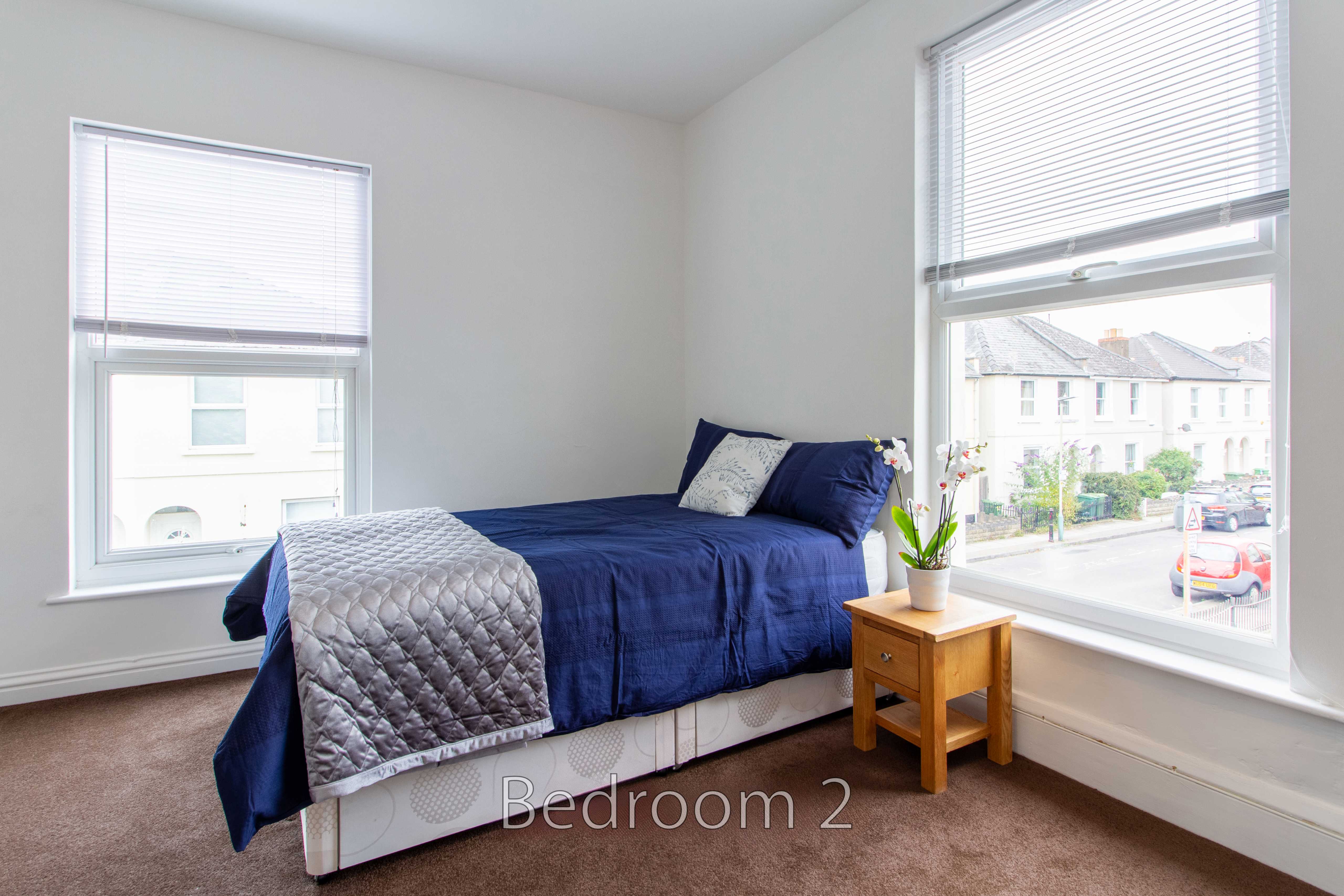 A bedroom with a single bed, bedside table, plant, carpet and windows with blinds.